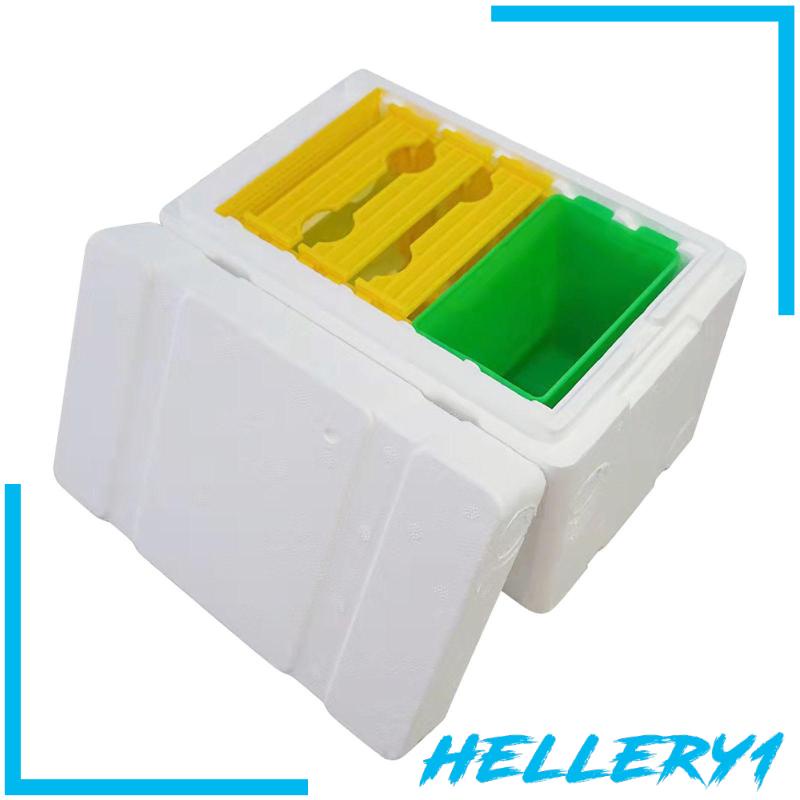 Hộp Nuôi Ong Chúa Breeding Queen Bee 1