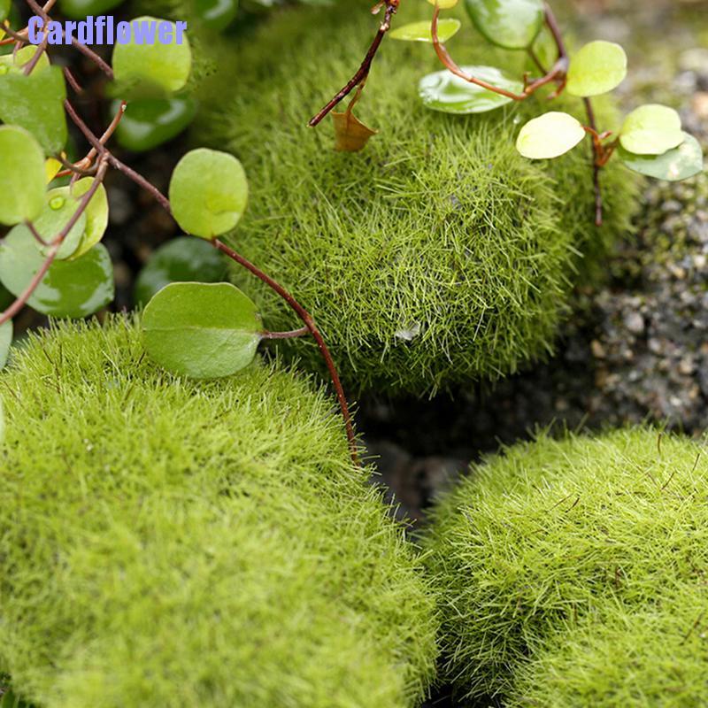 (Hàng Mới Về) Quả Bóng Đá Rêu Nhân Tạo Dùng Để Trang Trí