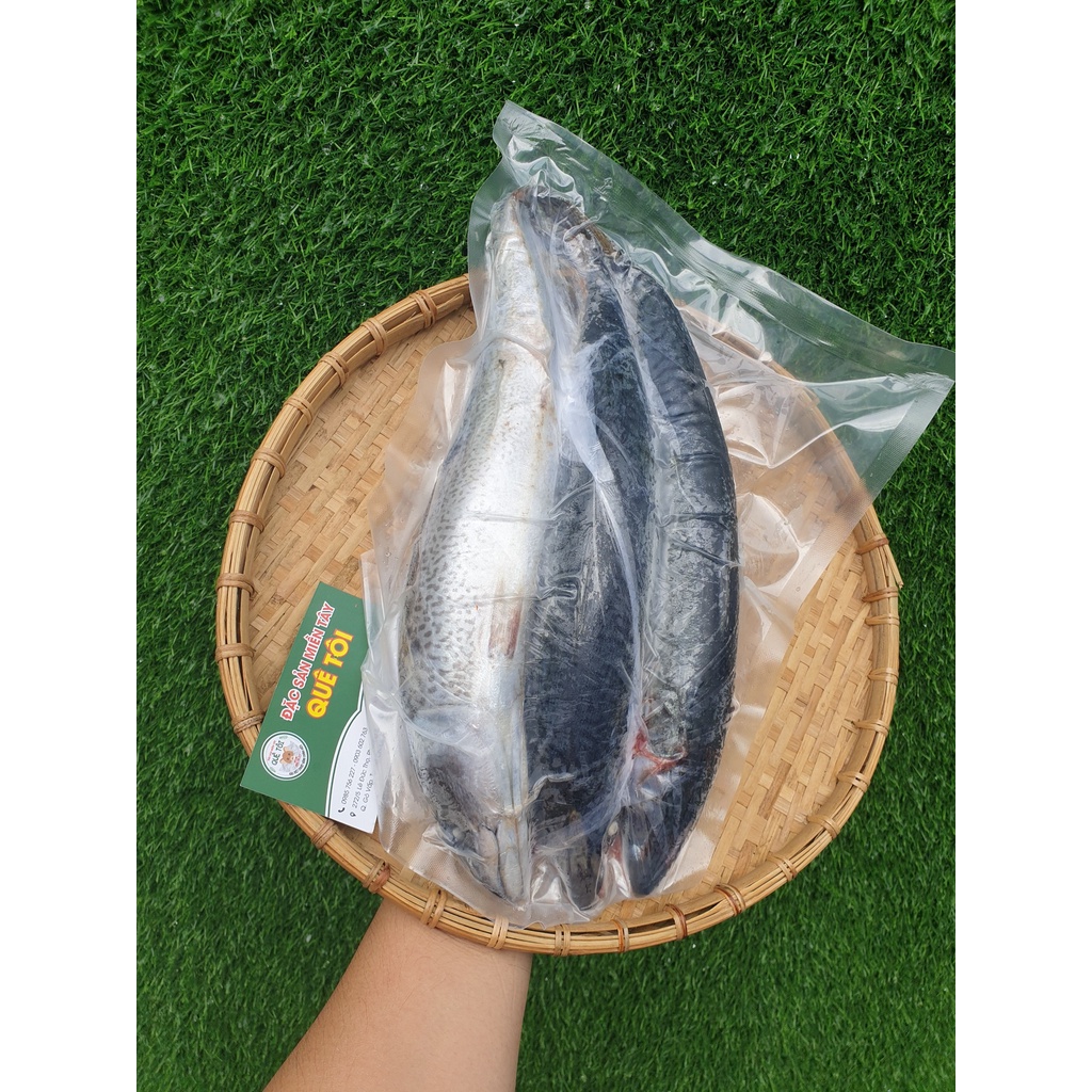 Cá Nục Bông Nhật Bản (Cá Saba Nhật, Cá Thu Thái Bình Dương, Cá Thu Nhật Bản, Cá Thu Lam) - Hỏa tốc