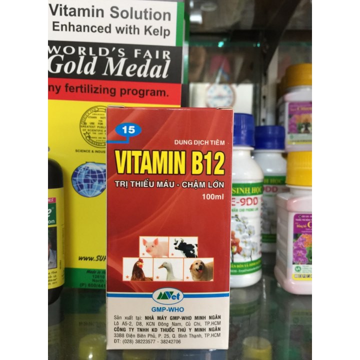 Vitamin B12 trị bệnh thiếu máu cho động vật, giải độc cho cây chai 100ml