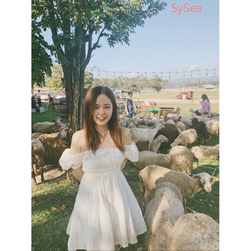 Đầm trễ vai lưng cao họa tiết hoa cúc phong cách cổ điển