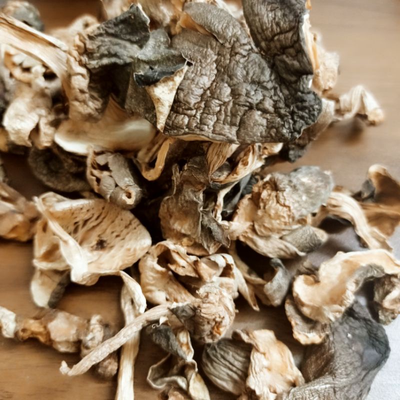 NẤM RƠM  KHÔ SẢN XUẤT THEO MÔ HÌNH SẠCH