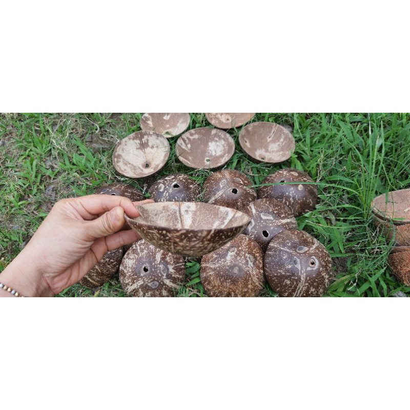 Gáo Đầu Mài Bóng Dùng Trang Trí