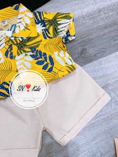 Bộ lá cành cho bé 10-24kg UL