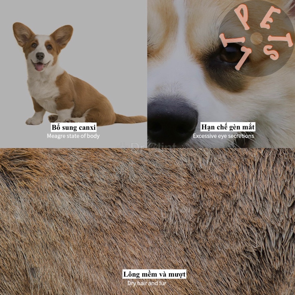 Thức ăn cho chó CORGI - Dr.Glint TÚI 2kg