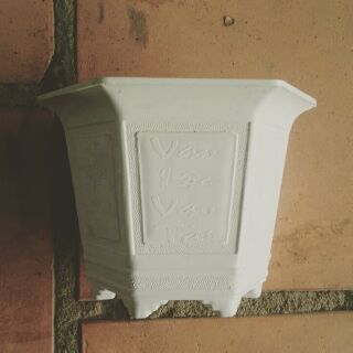 Chậu nhựa trồng cây hình lục giác