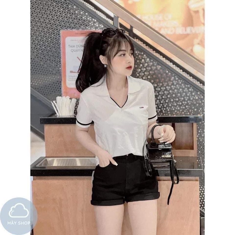 , Áo phông polo nữ cổ V, Áo thun polo nữ cổ V, Chất cá sấu siêu đẹp siêu mát.