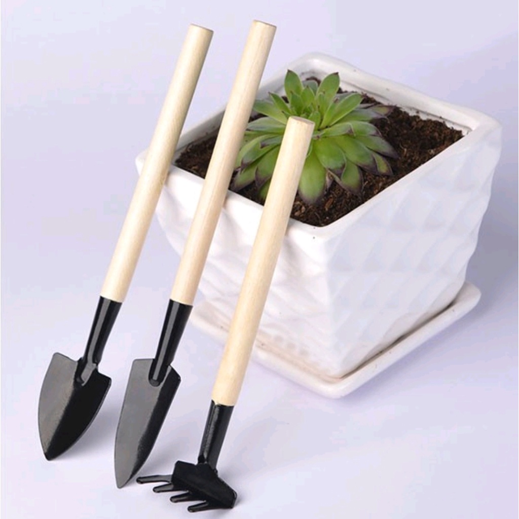 Bộ Cuốc Xẻng Mini Trồng Cây Cảnh, Làm Vườn, Trồng Rau, Chăm Sóc Cây Cảnh Bonsai - Niềm vui làm vườn