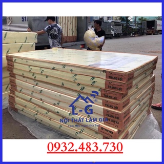Nệm cao su non thắng lợi giá rẻ rộng 1m6x2m dày 10cm , giao hàng nhanh HCM