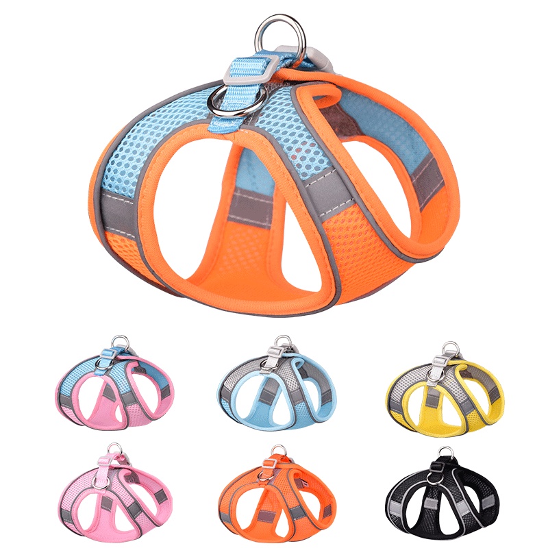 Dây Dắt Thú Cưng Đi Dạo Bằng Nilon Phản Quang Tùy Chỉnh Thoáng Khí 27Pets