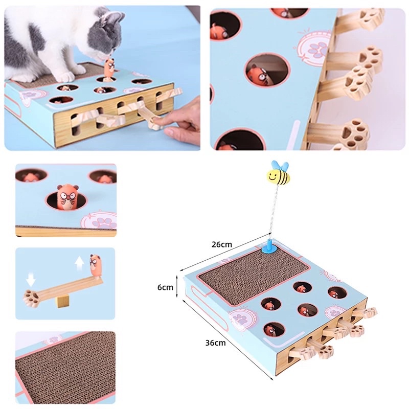 HOT 2022 Bộ đồ chơi 3in1, hộp giấy cho mèo cào tương tác với boss, lò xo cho thú cưng
