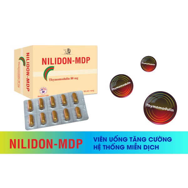 Nilidon MDP – Hỗ trợ giảm viêm đường hô hấp, tăng cường miễn dịch (Hộp 100 viên)