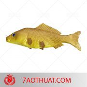Phụ kiện ảo thuật thú vị: Cá giả loại 1