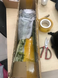HOA CÚC KHÔ