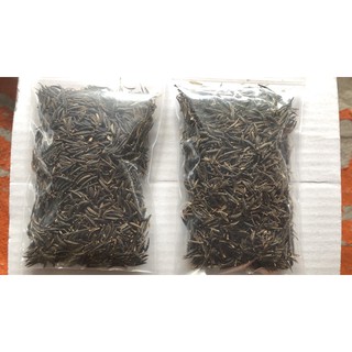 Hạt giống hoa cánh bướm