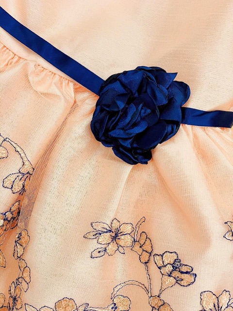 Đầm thêu hoa La Princess