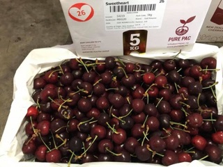 Cherry Mỹ ngọt