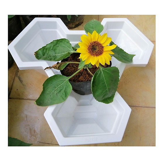 Combo  6 chậu xếp tầng, 6  tầng trồng rau, trồng hoa (tháp trồng cây) hàng việt nam