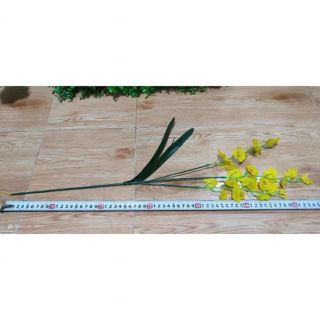 hoa vũ nữ vải. 27k/bó 10 cành