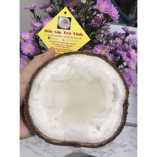 Dừa sáp Trà Vinh loại 1 to (2,1kg-2,3kg)
