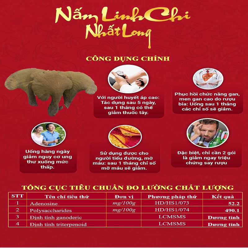 Qùa Tặng Vì Sức Khỏe- Bộ Quà Tặng Nấm Linh Chi Cao Cấp- Ổn Định Đường Huyết, Mỡ Máu, Giải Độc Gan- Quà Tặng Set 7 | BigBuy360 - bigbuy360.vn