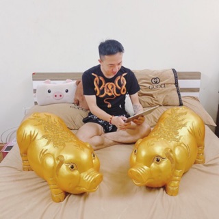 Heo đất to khủng 80 cm