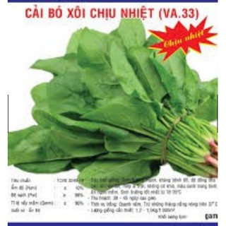 HẠT GIỐNG CẢI BÓ XÔI CHỊU NHIỆT GÓI 20 GRAM