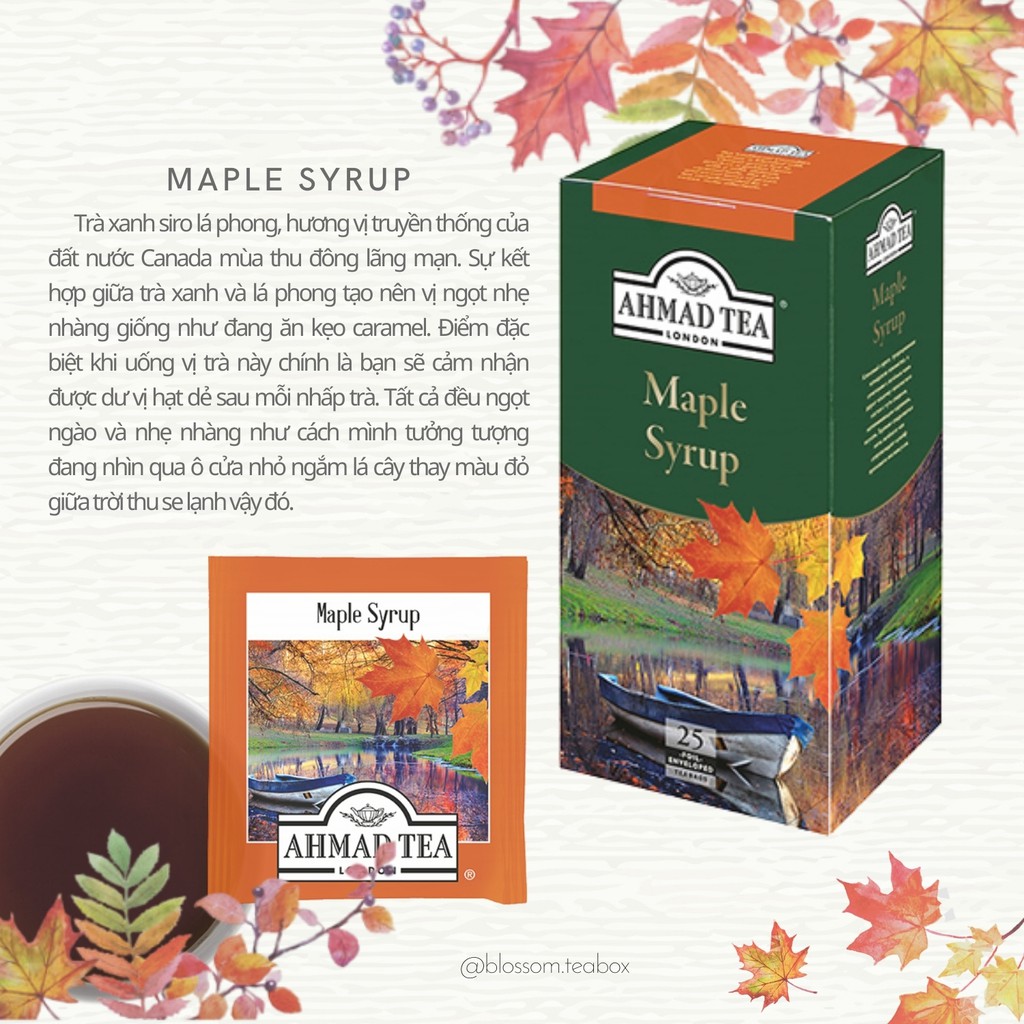 Trà xanh siro lá phong - Maple Syrup Ahmad Tea