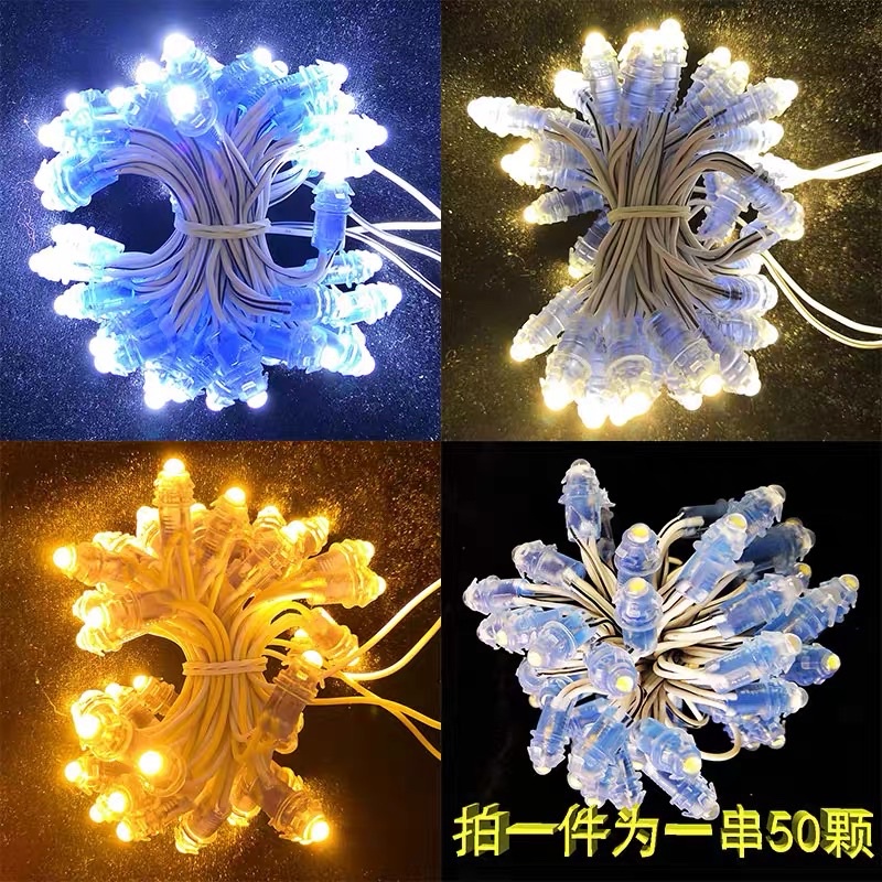 Đèn Led trang trí F5 12V chống nước loại cao cấp, trang trí cuốn cây, biển quảng cáo