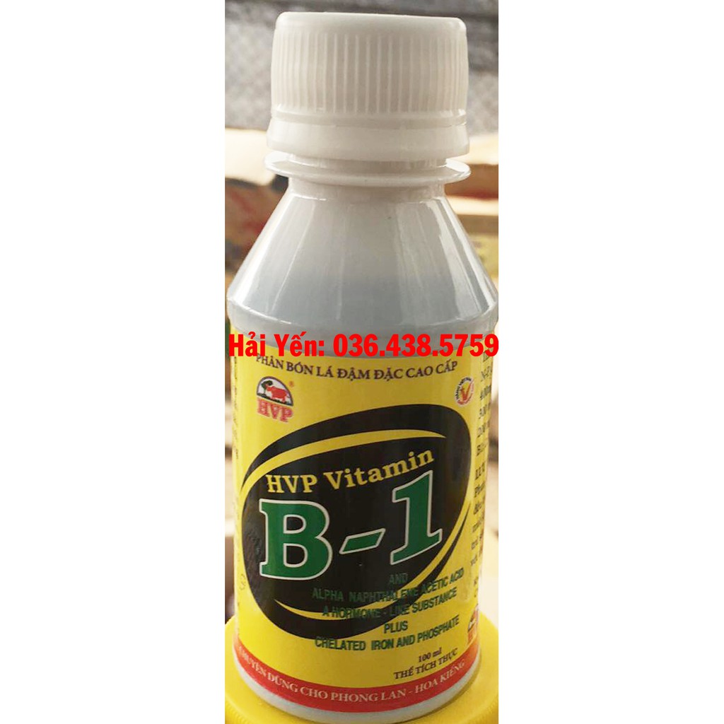 B1 phân bón lá HVP 100ml