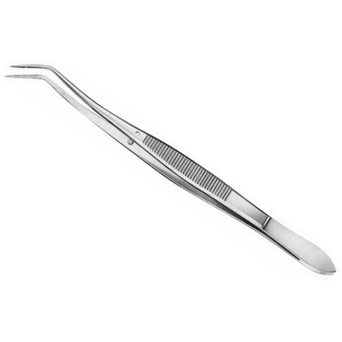 Nhíp nha y tế 16cm hàng Pakistan nhíp cong