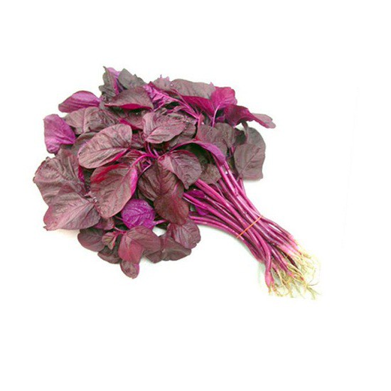 Hạt giống rau dền đỏ F1 Loại dễ trồng kháng sâu bệnh năng suất cao [ Gói 200gram, 500gram, 1kg]