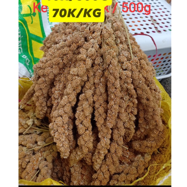 200g Kê bông / kê chùm cho chim vẹt , sóc ,hamster.