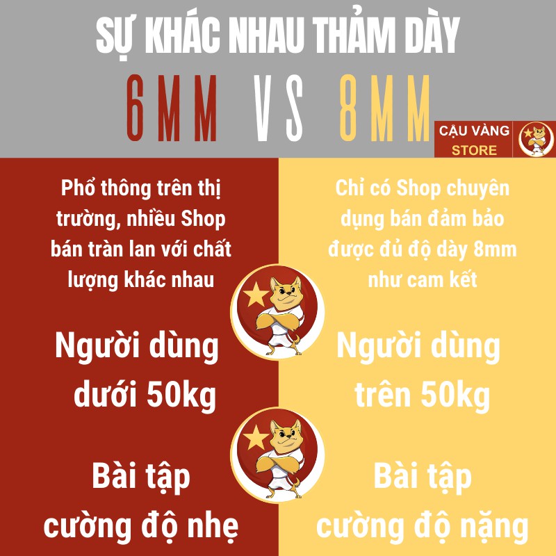 Thảm tập Yoga CHỐNG TRƯỢT 2 lớp cao su TPE cao cấp, miếng tập gym và thể dục tại nhà dày 6-8mm Cậu Vàng Store