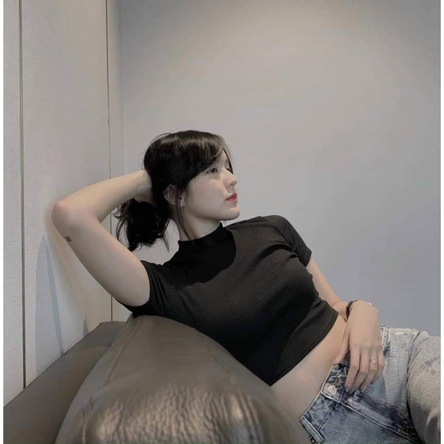 [Mã FASHIONG10 giảm 10k đơn 50K] Áo Croptop Nữ Cổ 3 Phân 🦋FREESHIP🦋 Áo Ngắn Trơn Nữ Cộc Tay  | BigBuy360 - bigbuy360.vn