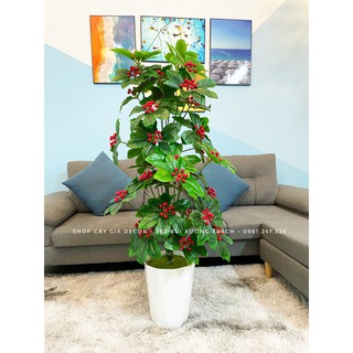 cây giả/cây cherry (kim ngân lượng) cao M4