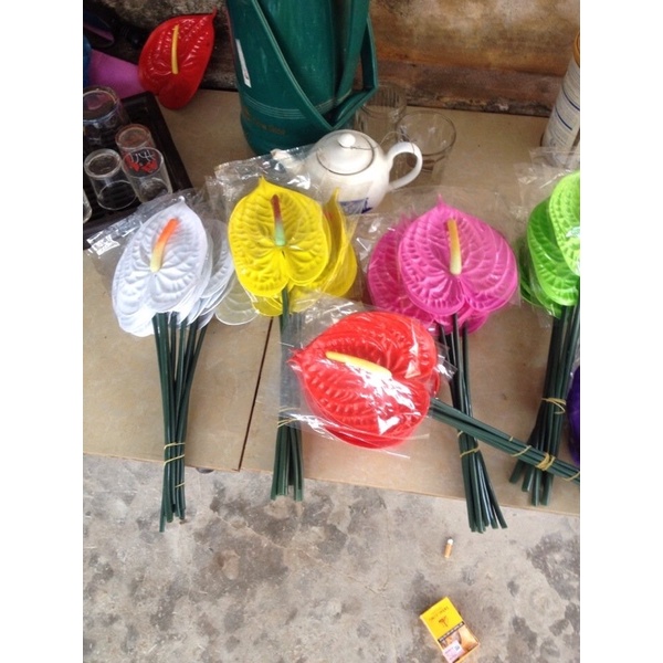 Lá hồng môn giả
