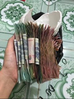 Combo 2 em heo đất to cực xinh