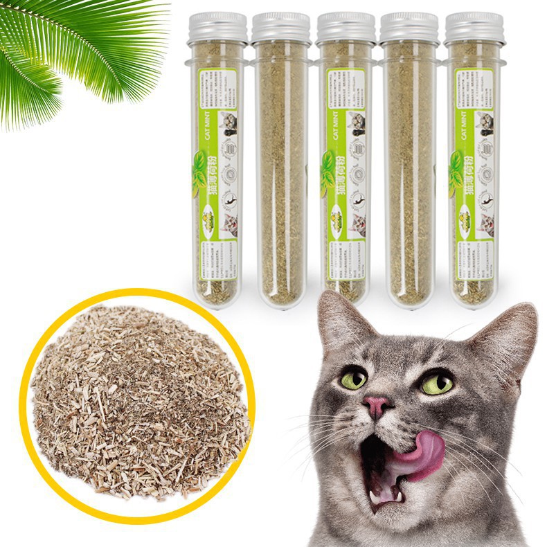 Cỏ mèo (Catnip) ống, cỏ bạc hà cho mèo - trị búi lông, tốt cho tiêu hóa