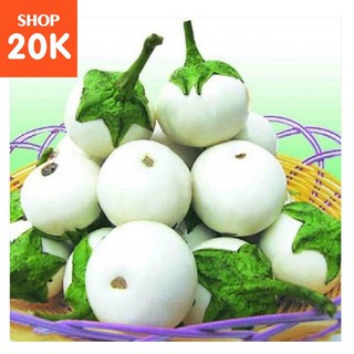 Đặc biệt Giống Cà Pháo Trắng chất lượng