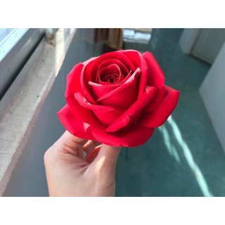10 tờ giấy đỏ nhung 1 mặt