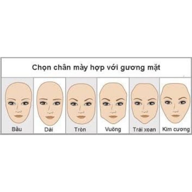 ✔️️️[TRI ÂN] Bộ 3 khuôn kẻ lông mày