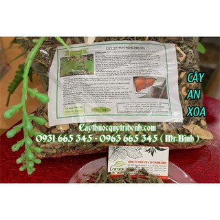 Cây An Xoa Bình Phước 1Kg - Loại 1 Hàng Công Ty Uy Tín