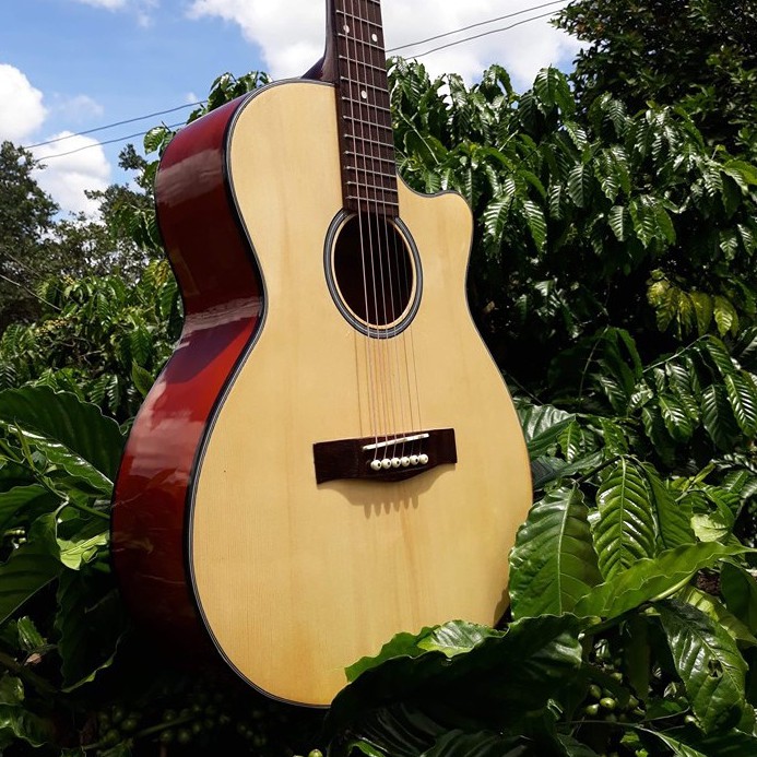 Đàn guitar acoustiC SV001 - Đàn gỗ thông có ty chống cong - Bảo hành 1 năm - Tặng phụ kiện