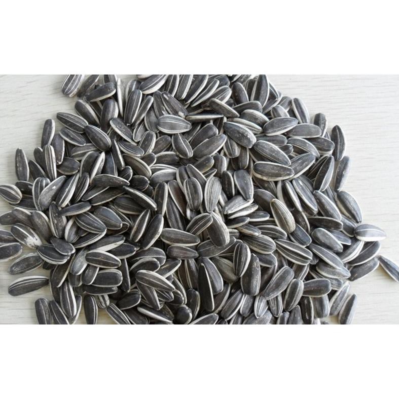 1kg hạt hướng dương sấy loại 1 to mẩy