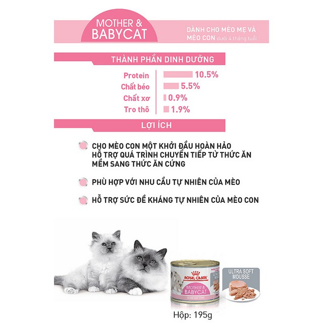 Pate cho mèo mẹ mang thai và mèo con Royal Canin Mother and Babycat 195g