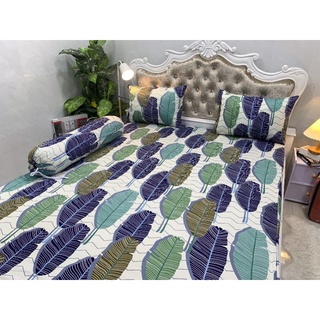 BỘ DRAP THUN HÀN QUÔC