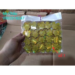 Bông mai dán cửa kính