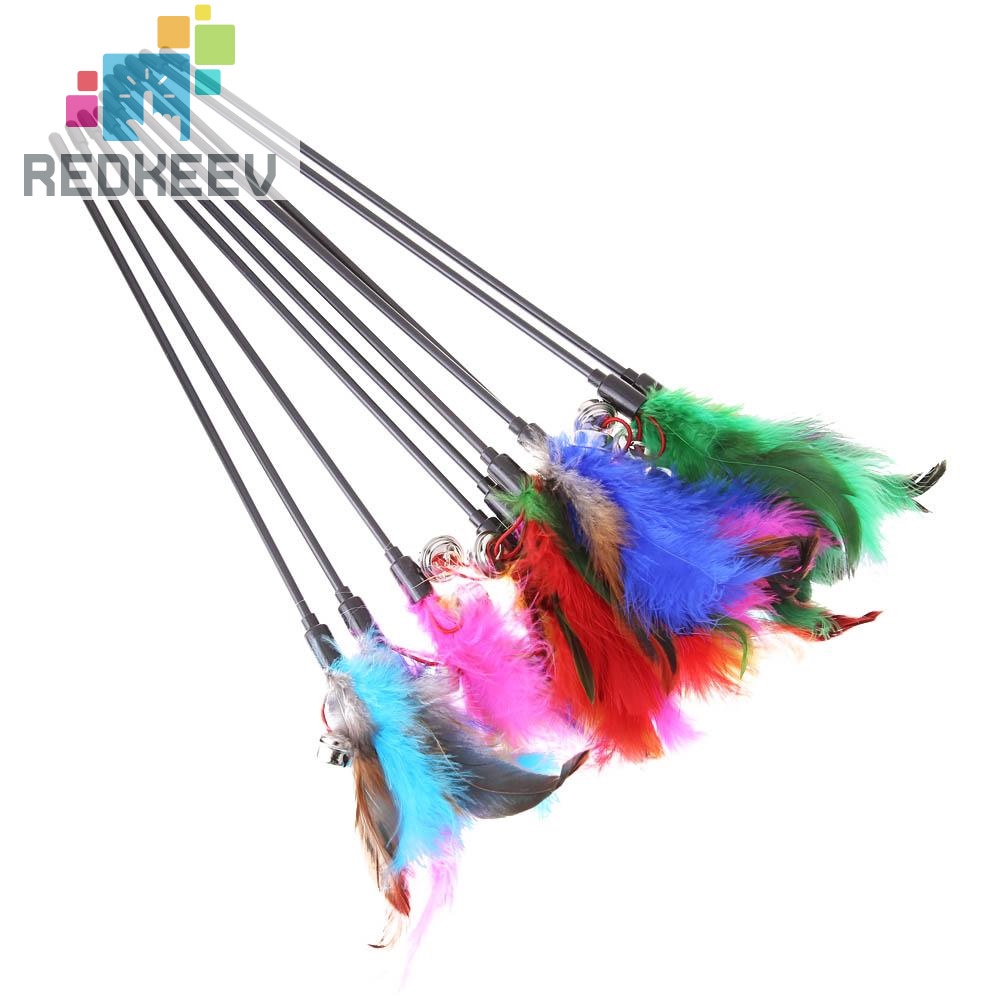 Set 10 cây lông vũ nhiều màu sắc dành cho mèo