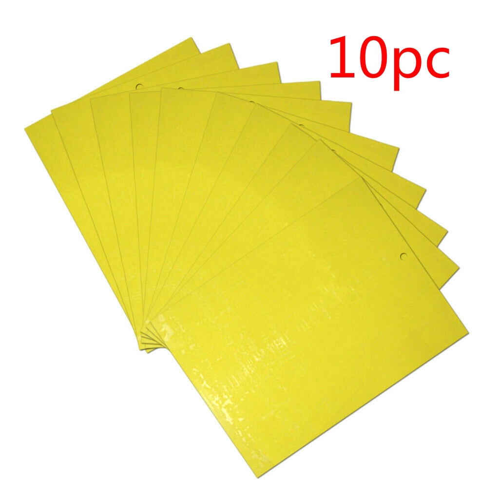 Set 10 Tấm dính hai mặt để bẫy côn trùng tiện dụng và bền
